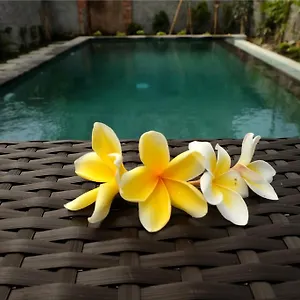 3* Guest house Eka Bali